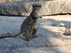 CairnsTC132 Granite Gorge